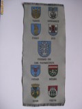 BANNER HERALDIC CU STEMELE UNOR LOCALITATI GERMANE