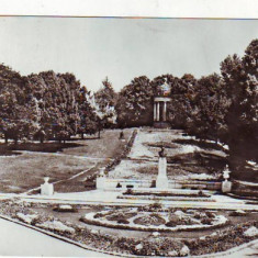 S 10733 CRAIOVA Parcul poporului CIRCULATA