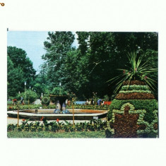 CP174-99 Buzias -Vedere din parc -circulata 1971