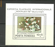 Romania 1979 - PICTURA FLORI LUCHIAN, colita MNH, AF4 foto