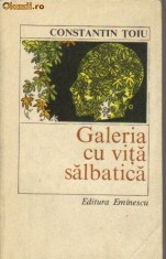 Constantin Toiu - Galeria de vita salbatica