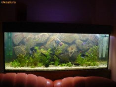 acvariu 600 l echipat complet. foto