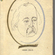 H Zalis - Gustave Flaubert