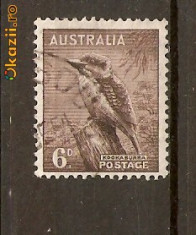 Timbre Australia 1937 Fauna foto