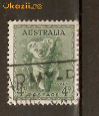 Timbre Australia 1937 Koala foto