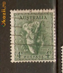 Timbre Australia 1937 Koala foto