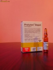 Proluton Depot 500MG foto
