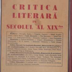 Octav Minar / Critica literara in secolul al XIX-lea (ed.veche)