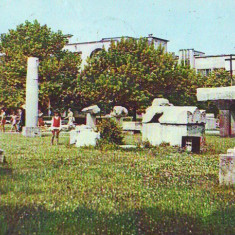 S11288 CONSTANTA Parcul arheologic circulat 1981