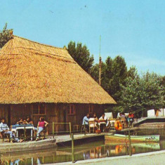 S12219 SATU MARE Cabana Coliba Paulesti CIRCULAT 1976