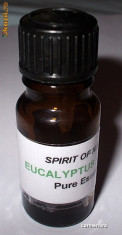 AROMATHERAPY - ULEI ESENTIAL PUR - EUCALYPTUS - 10ml foto