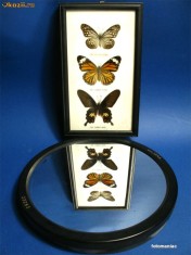 Oglinda optica plana diametru 26cm. fabricata Carl Zeiss Jena foto