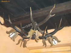 candelabru coarne cerb foto