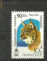 Rusia 1989 - ANIMALE SALBATICE, RASUL SIBERIAN, timbru MNH V40 foto