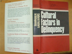 Cultural factors in deliquency 1966 foto