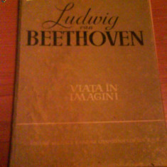 1303 Ludwig van Beethoven-Viata in imagini