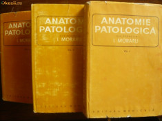 I.MORARU - ANATOMIE PATOLOGICA - 3 volume foto