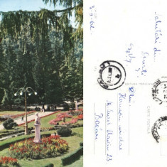 Carte postala ilustrata Vedere din Parc,Slanic Moldova