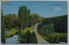 Craiova - Parcul Bibescu - neexpediata, aprox 1920 foto