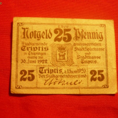Bancnota Notgeld 25 Pf.oras Triptis 1920 Germania