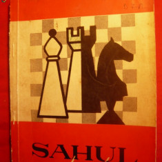 A.F.IANOVCIC - SAHUL ARTISTIC - 1967