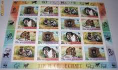 GUINEEA 2000 WWF - MAIMUTE - KLEINBOGEN - NEUZATE foto