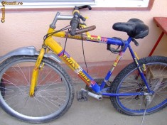 Bicicleta FIRST BIKE High Class foto