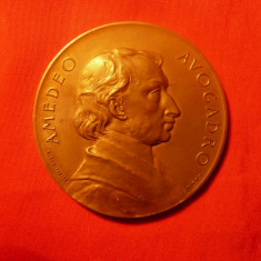 MEDALIE - AMEDEO AVOGADRO - 1911 ,bronz ,d= 5,2cm.