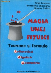 Magia unei fituici - Autor : Virgil Ionescu - 100689 - Anticariat Ion Andrei foto