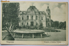 Targoviste - Primaria si Gradina - 1925 - neexp. foto