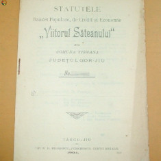 Statutele Bancei ,,Viitorul Sateanului&quot; Tg Jiu 1904