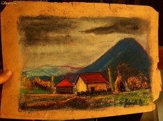 jandi david pastel foto