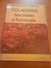 1032 M. Carsteanu C.Vladescu Colagenul Biochimie Fitziologie foto