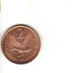 bnk mnd Insulele Falkland 2 penny 2004 , pasare