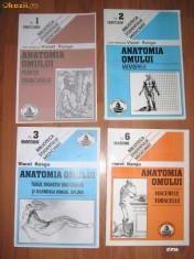 viorel ranga - anatomia omului foto