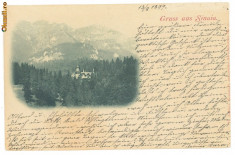 1981 - SINAIA, castelul PELES - clasica - used - 1899 foto