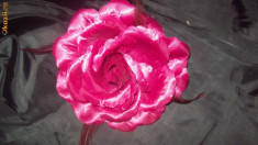 Floare par voaleta ciclam roz cu pene foto
