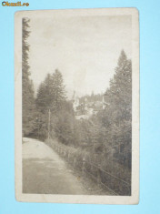 SINAIA - CASTELUL PELES 1937 foto