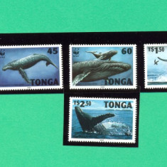 ST-49=WWF 1996 TONGA-Balena cu cocoase-viata marina-serie de 4 timbre pesti **
