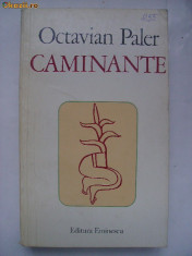 Octavian Paler - Caminante (1980) foto
