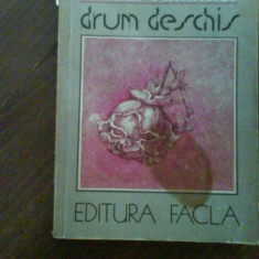 2264 Drum Deschis Arthur Schnitzler