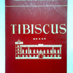 BANAT-TIBISCUS,ARHEOLOGIE-ISTORIE,VOL5,1979,TIMISOARA