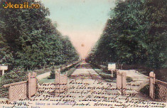 Ok-0625- Romania, Buzias, c.p. circulata 1905: Promenada spre baia &amp;quot;Otel&amp;quot; foto