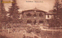 Ok-0627- Romania, Baia Buzias, carte postala circulata 1913: Hotel Bazar foto