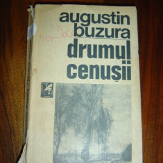 1891 Augustin Buzura Drumul Cenusii