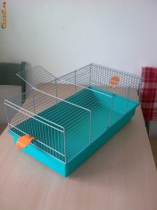 Cusca porcusor guinea / hamster foto