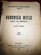 O Minar, Veronica Micle, muza lui Eminescu, 1914 foto