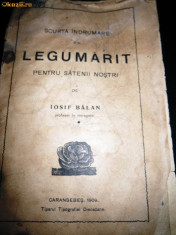 Iosif Balan, Scurta indrumare de legumarit, 1909 foto