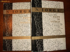 N. Iorga - Pagini De Tinerete, vol. I, II foto