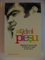 ANDREI PLESU - DESPRE BUCURIE IN EST SI IN VEST {2006} foto